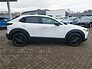 Mazda CX-30 2,5L Homura 140PS Automatik