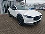 Mazda CX-30 2,5L Homura 140PS Automatik