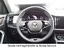 SKODA Kodiaq Style 2.0 TDI 110 KW DSG Navi AHK StHz