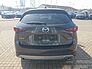 Mazda CX-5 2.5L SKYACTIV G 194 Newground, sofort