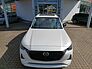 Mazda CX-60 3.3L e-SKYACTIV D 254ps Homura Plus, sofort