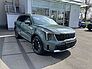 Kia Sorento PE 2.2D AWD PLATINUM NAPPA PREM AHZV