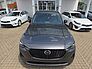 Mazda CX-60 3.3L e-SKYACTIV D 254ps Homura Plus, Metal