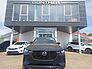 Mazda CX-60 3.3L e-SKYACTIV D 254ps Homura Plus, Metall