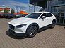 Mazda CX-30 Selection 2.0 Leder AWD, Kamera, elek. Heck
