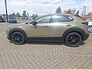 Mazda CX-30 2.5L e-SKYACTIV G 140ps Homura sofort