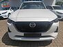 Mazda CX-60 3.3L e-SKYACTIV D 254ps Homura, COSO, sofor