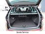 SKODA Kodiaq RS 2.0 TSI 245PS DSG CANTON STHZ MATRIX