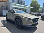 Mazda CX-30 Homura 140 Automatik Metallic
