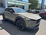 Mazda CX-30 Nagisa 140 Automatik Metallic