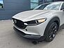 Mazda CX-30 Nagisa 140 Metallic