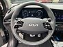 Kia Niro EV Inspiration 64,8kWh WP Drive-Wise