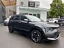 Kia Niro EV INSPIRATION WP DW