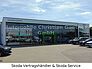 SKODA Fabia Style 1.0 TSI 110 PS LM SHZ Rückfahrkamera